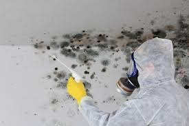 Best Crawl Space Mold Remediation  in Ossun, LA